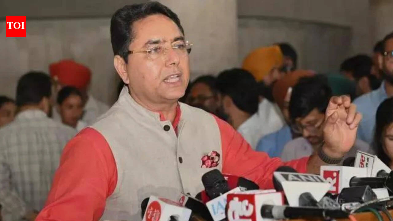 Gangster's extradition from Moldova shows Mann government's resolve: Punjab minister