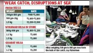 Ranna Puja rush drives up hilsa prices, large sizes stay scarce