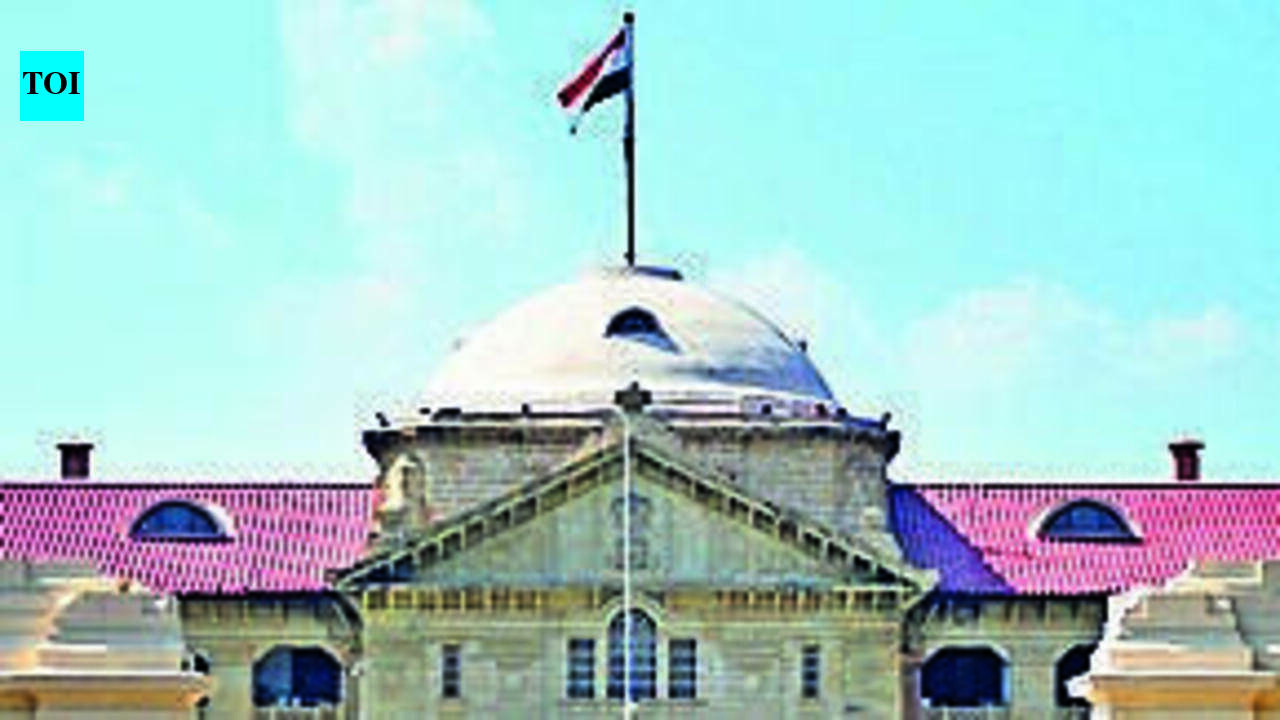 ‘Serious matter': Allahabad HC orders production of Shamli man after conversion, marriage