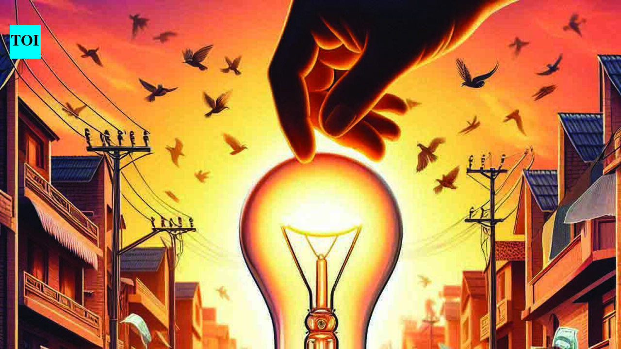 DHBVN orders review as defective meters, provisional bills pile up