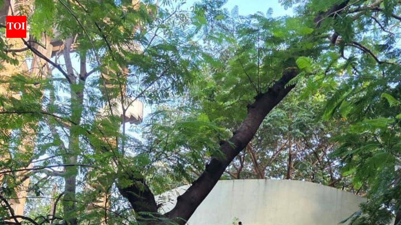 Forty-year-old water tank to be demolished after it partly collapses