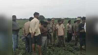 Drone search fails to find animal after fatal attack on woman in Hardoi