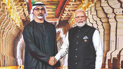 Delhi & Abu Dhabi discuss boost to IMEC, energy infra