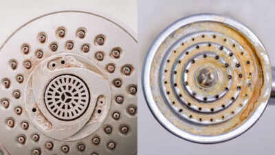 Neither vinegar nor baking soda: The simple cleaning trick that can remove limescale from shower holes and help restore water pressure