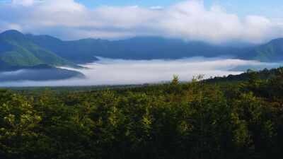 10 countries with the highest forest cover in the world; check India’s rank