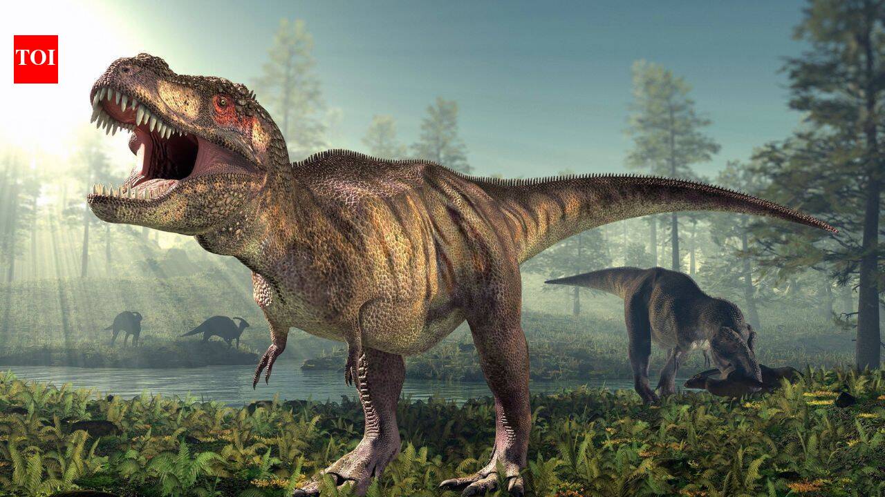 T. rex walked across North America 66.5 million years ago, fossil tracks show