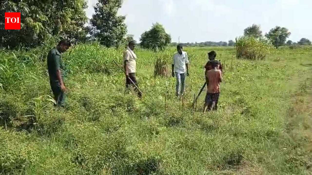 Two deer found dead in West Champaran, leopard suspected