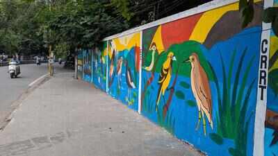 City walls get a wildlife makeover as GCC ties up with EFI
