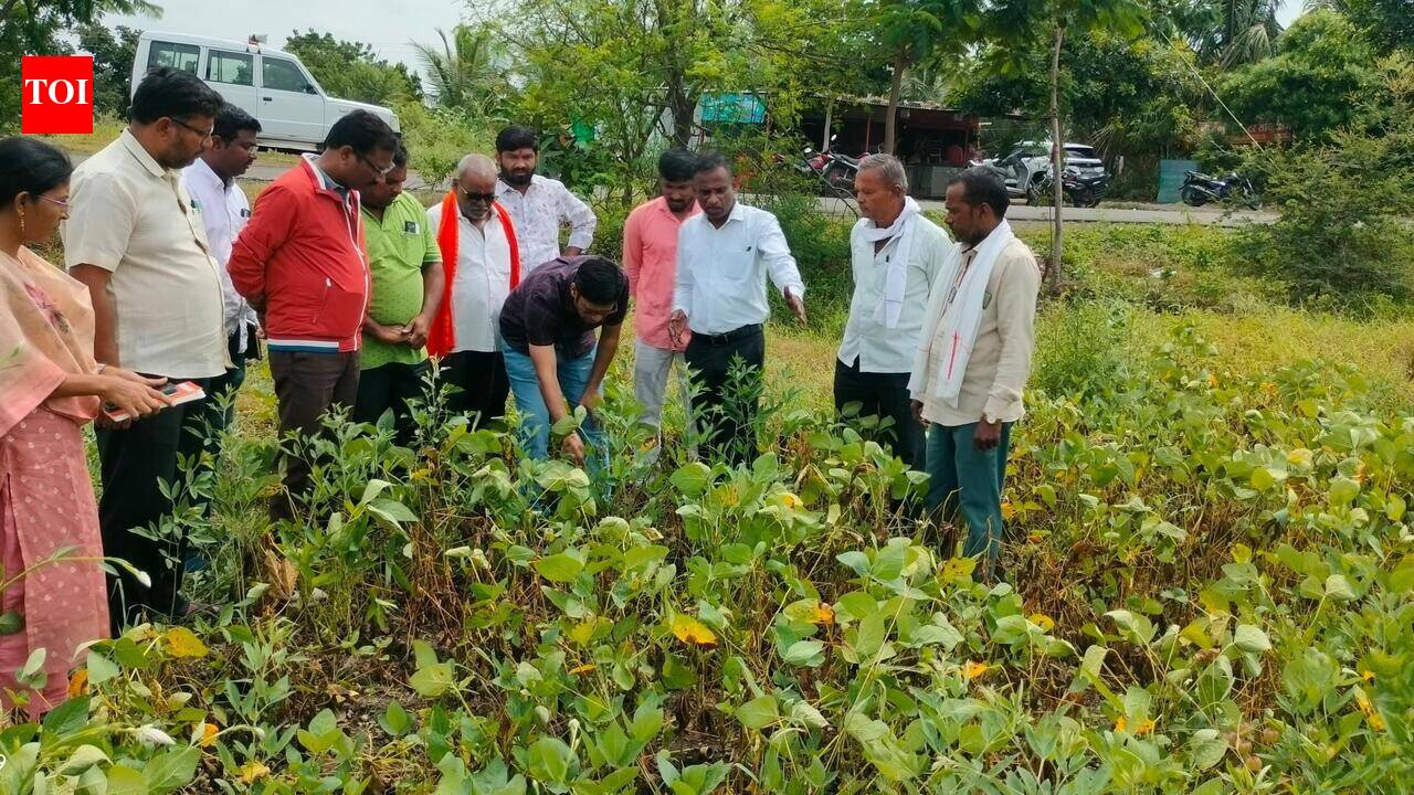 ​Rain returns to anxious Marathwada after long gap, deficit still high