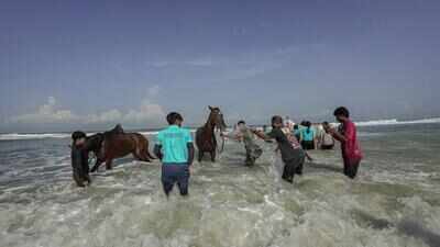 Riding Beyond the Waves: Horse Safari gallop into Mangaluru tourism