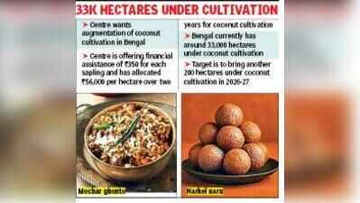 ‘Narkel naru’, ‘mochar ghonto’, ‘chholar dal’ at risk as coconut production dips in Bengal
