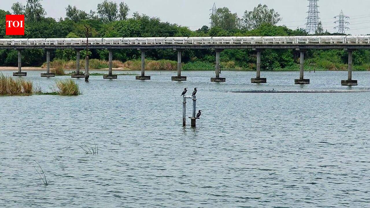 Cauvery water reaches Mayiladuthurai, Nagai