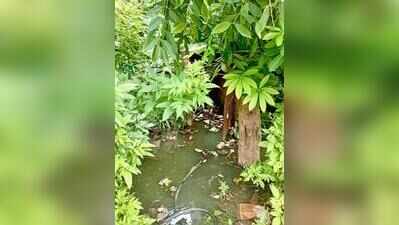 Overflowing sewers, overgrown grass, broken roads: What ails Indirapuram, Vaishali