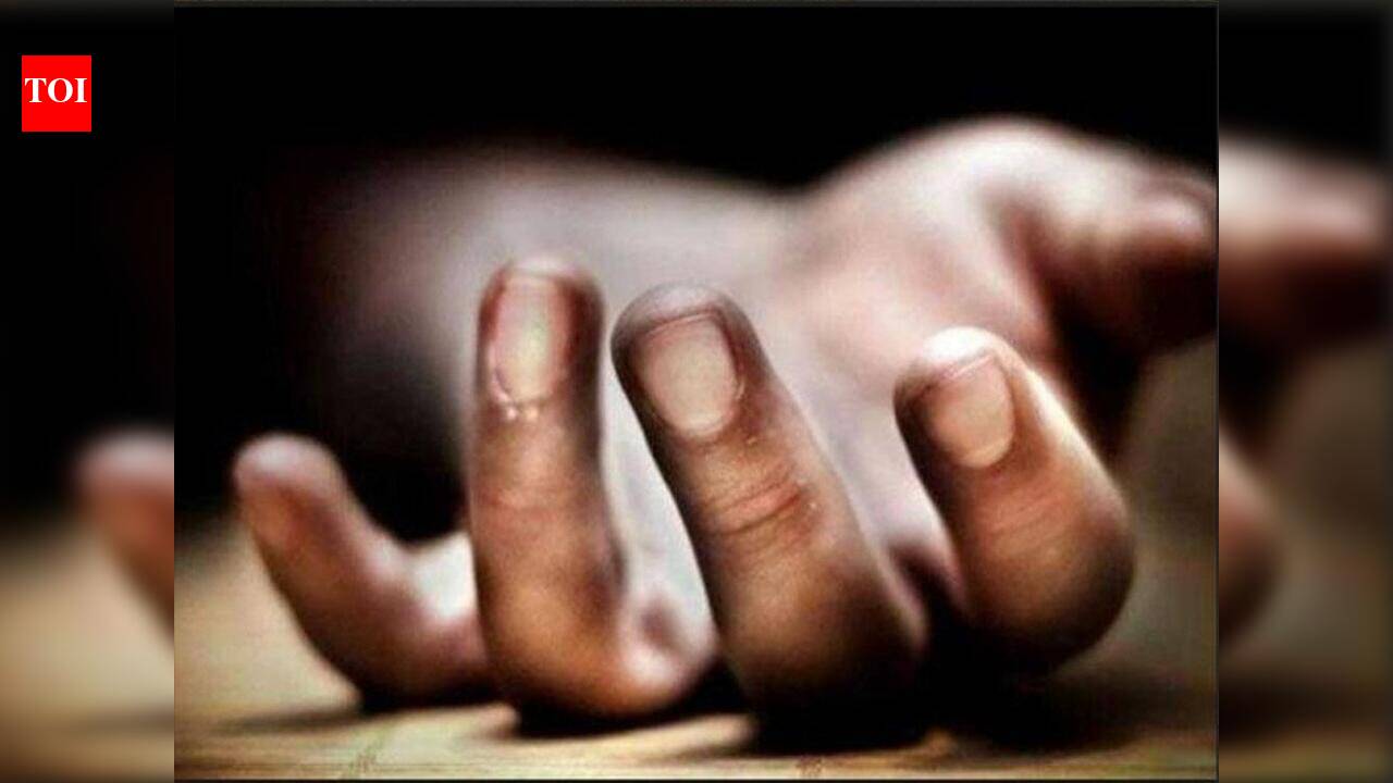 Speeding, rash driving kill seven in three separate road crashes in north Andhra