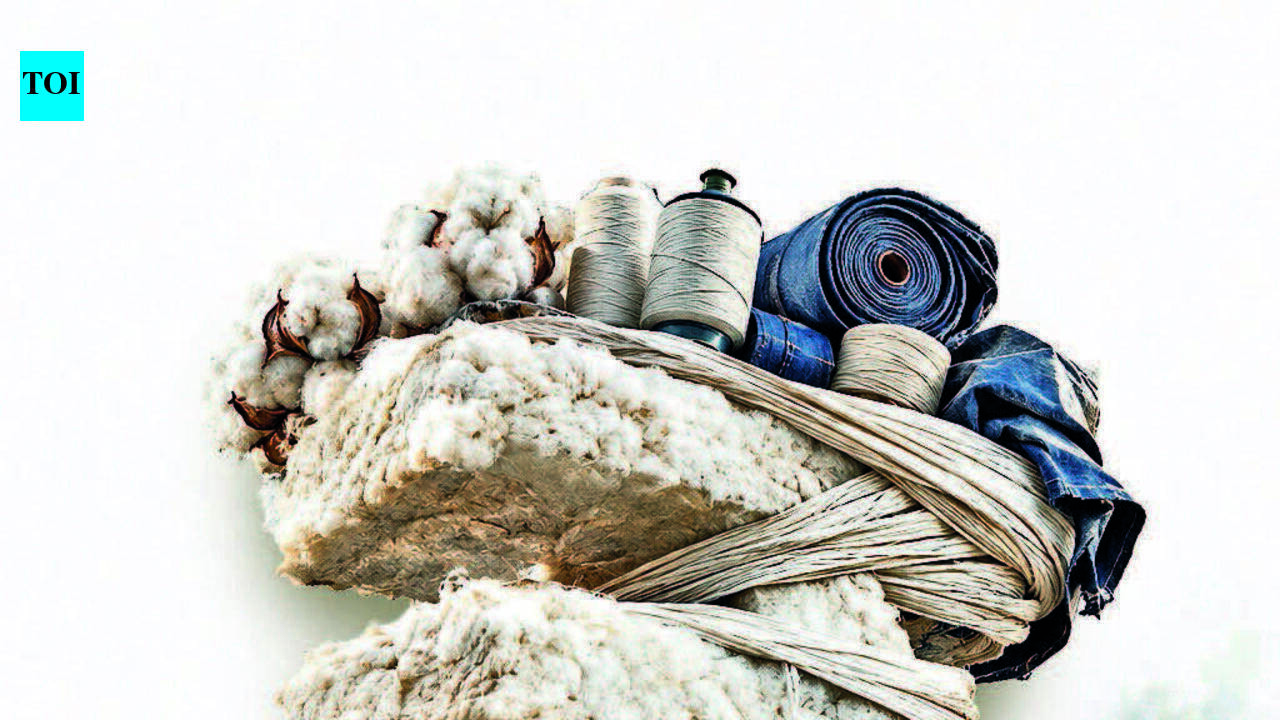 Times Dhandho: Gujarat’s fibre-to-fabric chain feels the strain from rising input costs