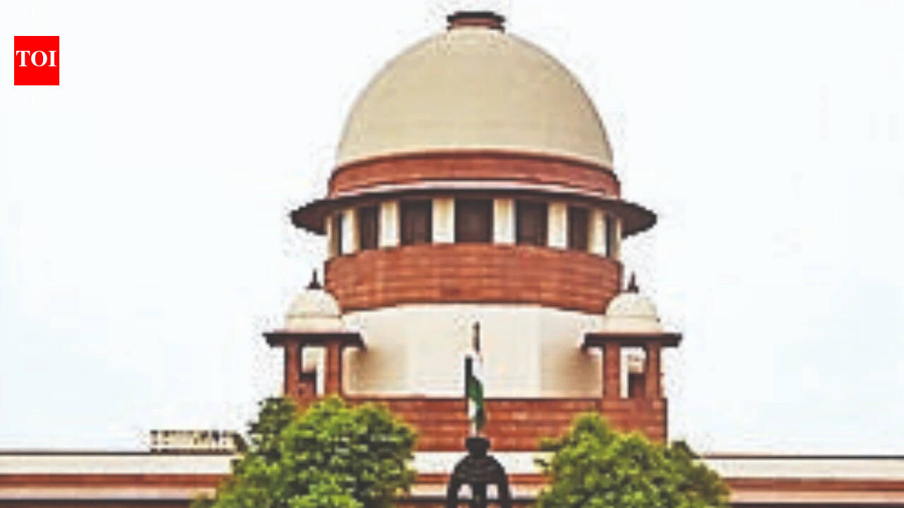 Murder accused's 'victory march': SC asks Haryana police to produce him in court