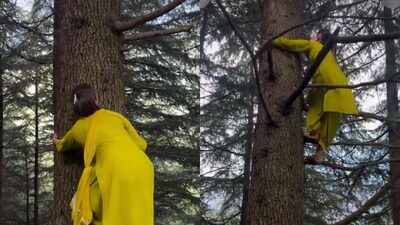 Content creator Pooja Guleria’s tree-climbing video catches attention online; internet praises her effortless agility