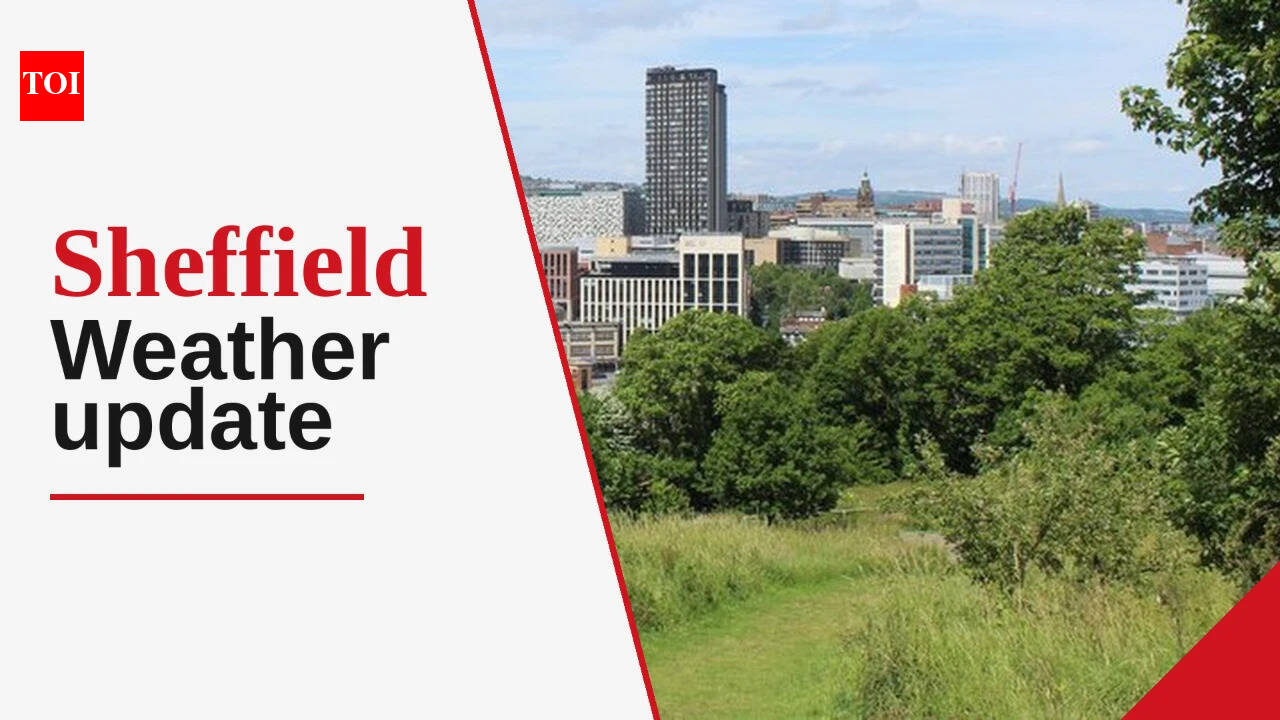 Sheffield weather forecast: mild temperatures, sunny intervals, and a chance of light showers
