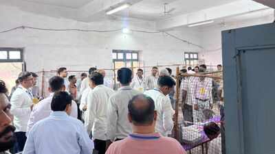 Jaipur Municipal Corporation election results 2026: BJP wins 20 wards, Congress 7 (top developments)