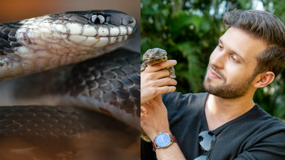 Meet Alejandro Arteaga: The Ecuadorian biologist who went into cloud forests looking for reptiles for a book and ended up finding a snake new to science
