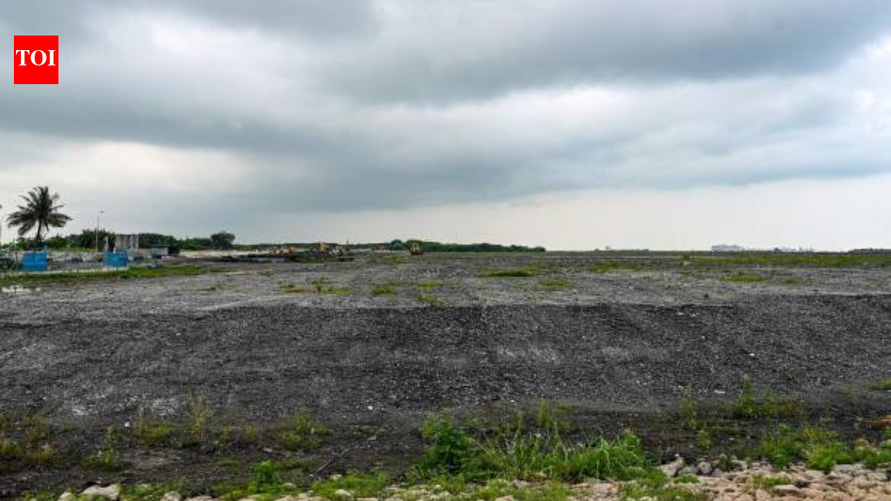 How Singapore turned garbage ash into a 350-hectare island where mangroves and coral now flourish