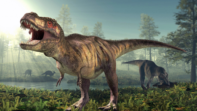 T. rex wasn't always running: Scientists found 66 million years old the first-ever footprints of a fully grown T. rex, and they reveal how it really moved