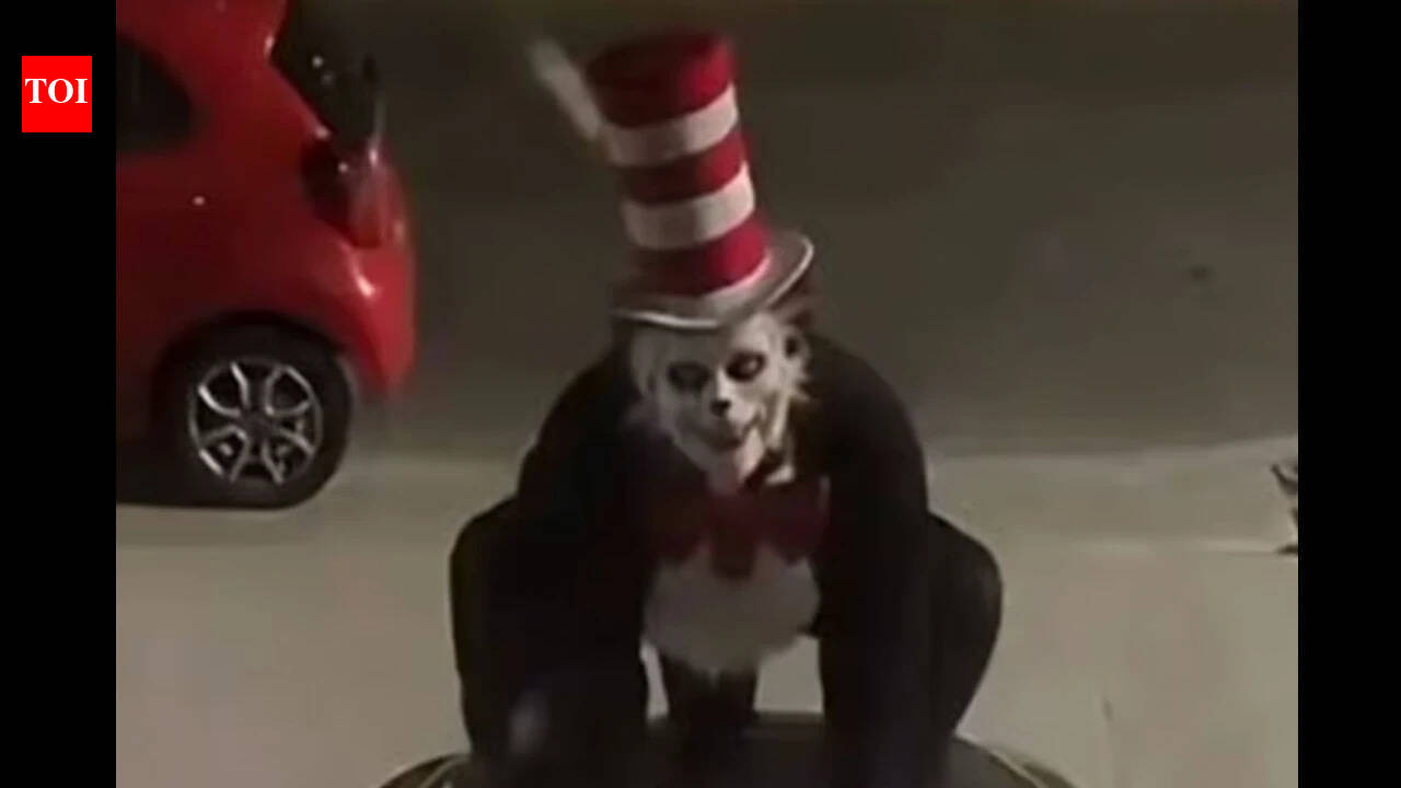 cat-in-the-hat-creepy-viral-trend-sparks-school-warnings-and-teen