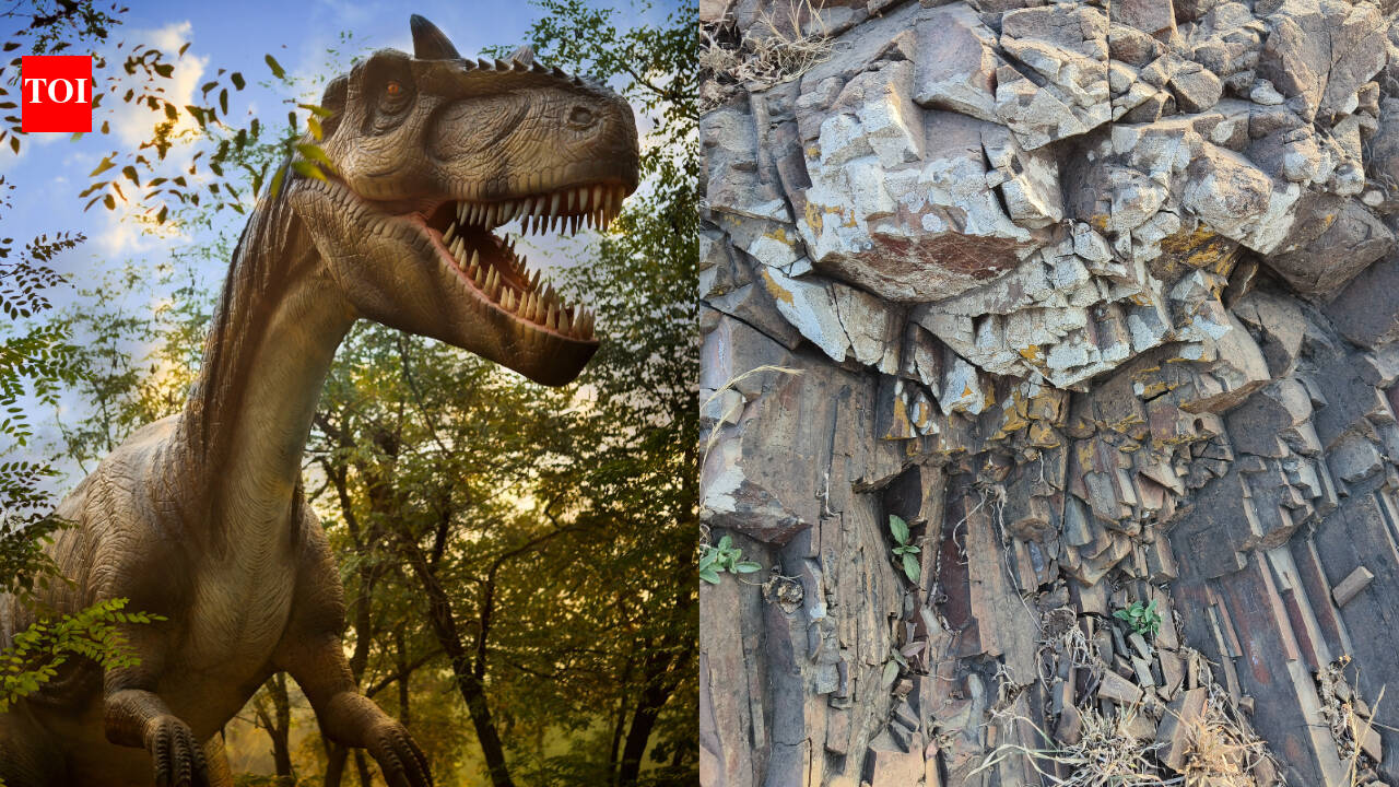 In 2016, a Montana researcher found a rock; scans later revealed a dinosaur's finest feather