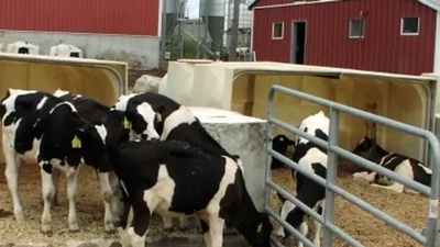 In 2011, a Massachusetts dairy installed the state's first agricultural digester; by 2020, manure and food waste were saving it $155,000 a year on heat, fertiliser, and bedding