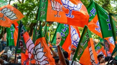 'Someone from that ward voted for me': BJP candidate gets 1 vote in Rajasthan local body polls