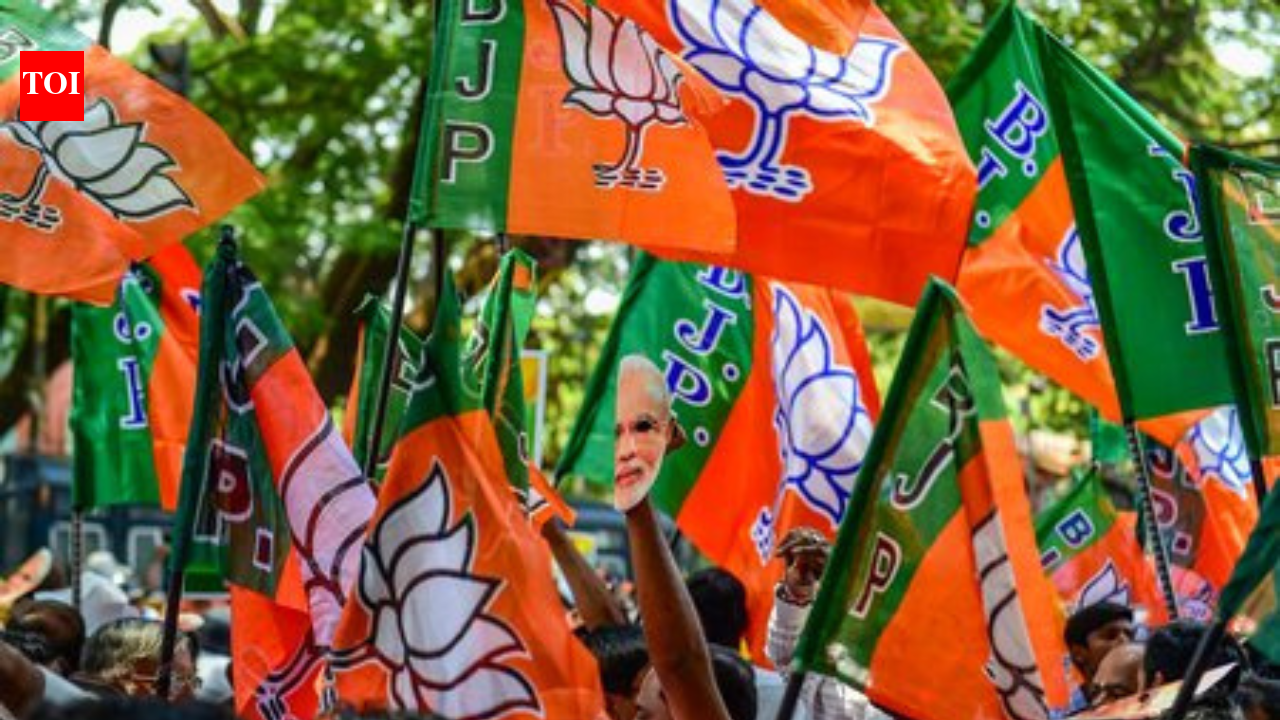 Image from timesofindia.indiatimes.com