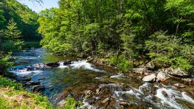 A West Virginia family with roots around Audra stretching back 175 years donated 47 acres to the state park; one gift increases the entire park by about 13%