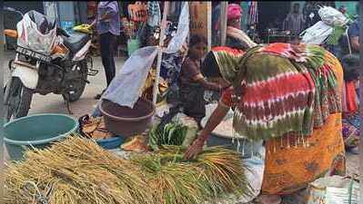 Western Odisha to celebrate Nuakhai today, good rainfall adds to festivities