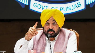 You can run, but can't escape law: Mann warns gangsters