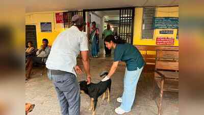 Anti-rabies drive vaccinates 1,485 stray dogs in Dibrugarh since Aug last year