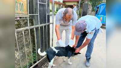 Anti-rabies drive vaccinates 1,485 stray dogs in Dibrugarh since Aug last year