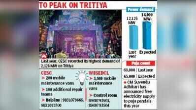 5K more Pujas this yr, power demand to spike