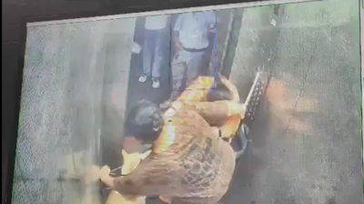 Dog owner stops woman from entering lift in Ghaziabad highrise, assaults her with stick