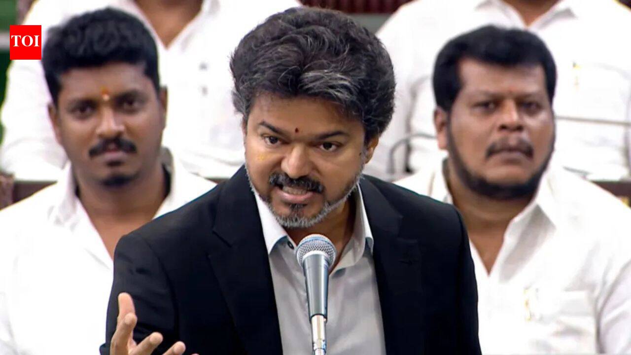 Cases against 3 DMK leaders over remarks against TN CM Vijay's speech