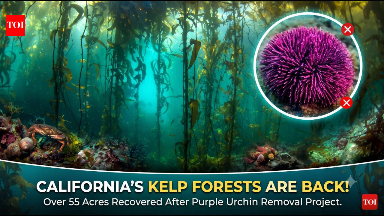 News thumbnail