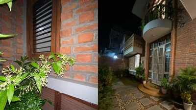 Woman returns home after 6 months, one thing in her father’s garden makes her forget life’s troubles
