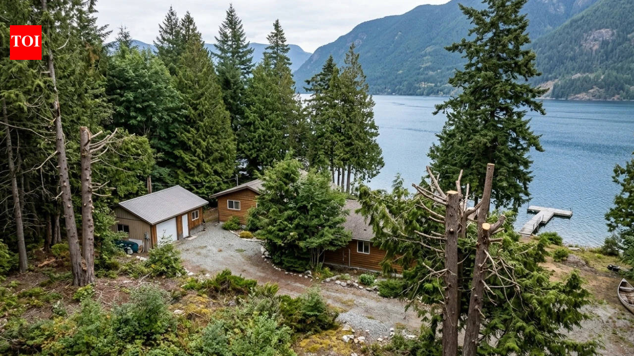 Neighbours cut trees beyond permission for a lake view, court orders $34,064 payout