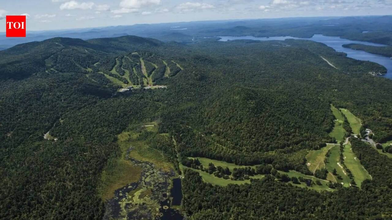 5,800 acres in New York’s Adirondack Park head to auction