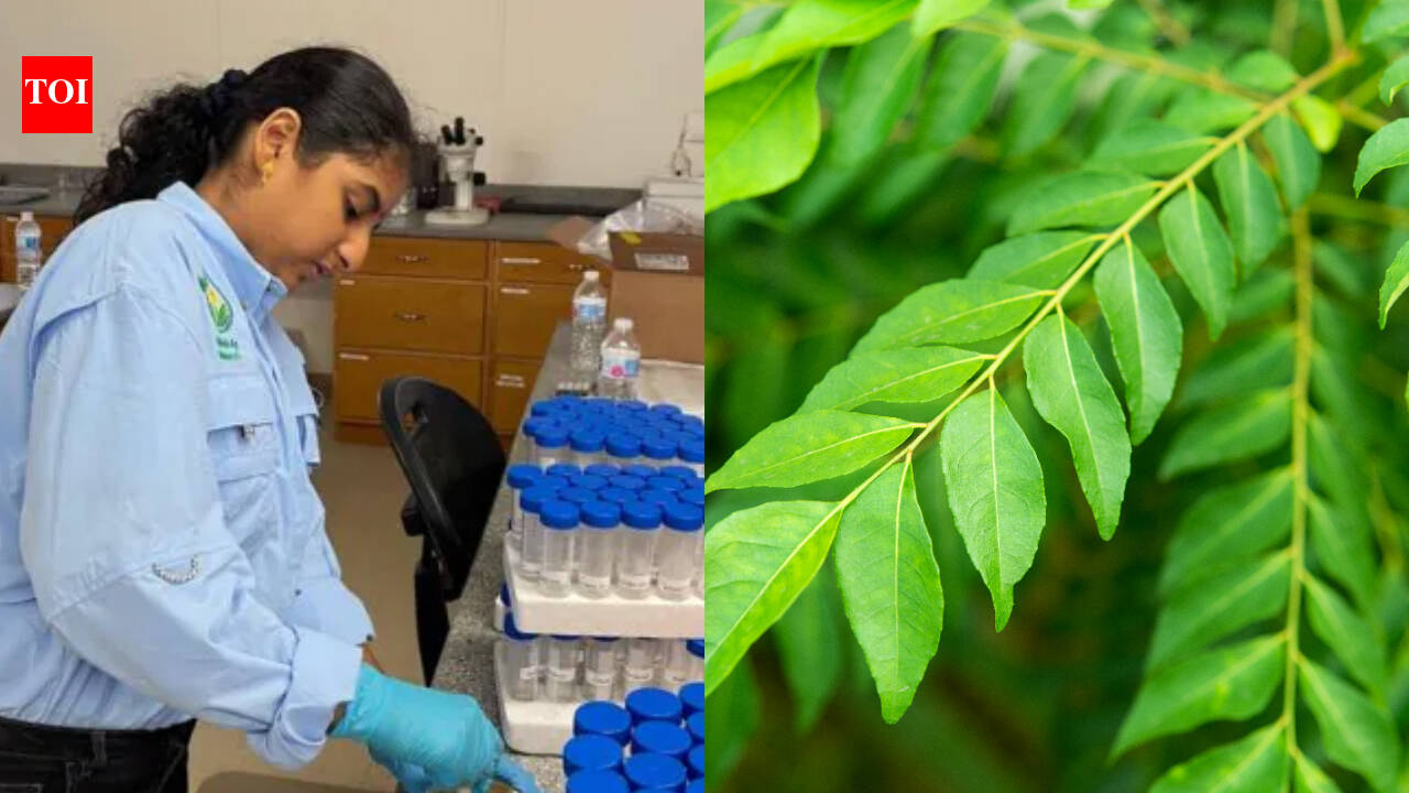 17-year-old builds curry leaf treatment and AI tool to fight citrus greening