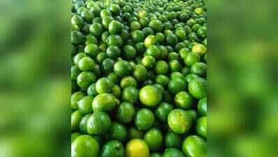 Drought squeezes kitchens in Karnataka as lemon prices soar fourfold