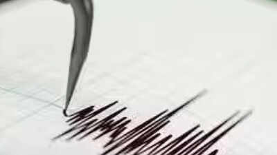 3 mild tremors hit 5 villages in Rajasthan's Jhalawar, students evacuated from school