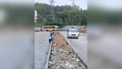It’s official: 40-year-old forest will be split for Panathur CDP Road in Bengaluru