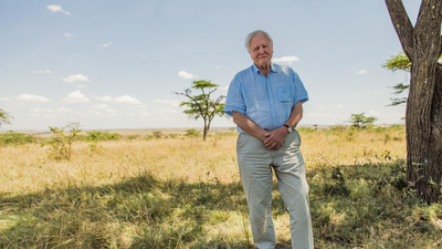 Quote of the day by David Attenborough: “The nature of human beings is that they'd far rather face the disaster that is happening tonight than..."