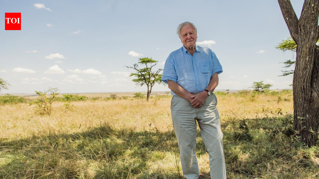 Quote of the day by David Attenborough: "The nature of human beings is that they'd far..."