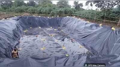 BeMC sets up artificial ponds for eco-friendly idol immersion